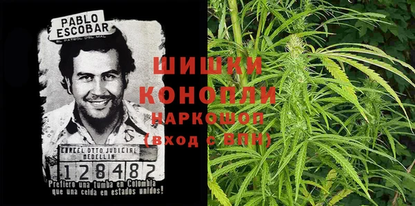 гидра Аркадак
