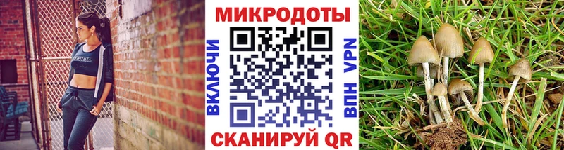 Галлюциногенные грибы GOLDEN TEACHER  hydra зеркало  Сосенский 